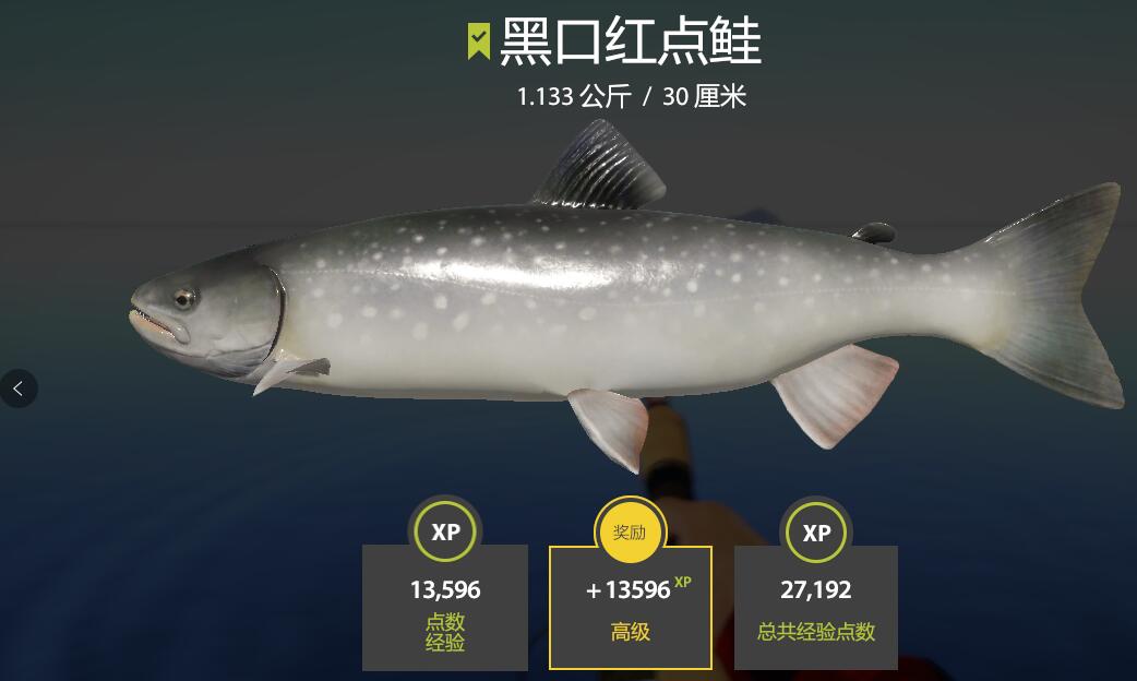 26图 | 拉多加湖黑口官方比赛点位攻略