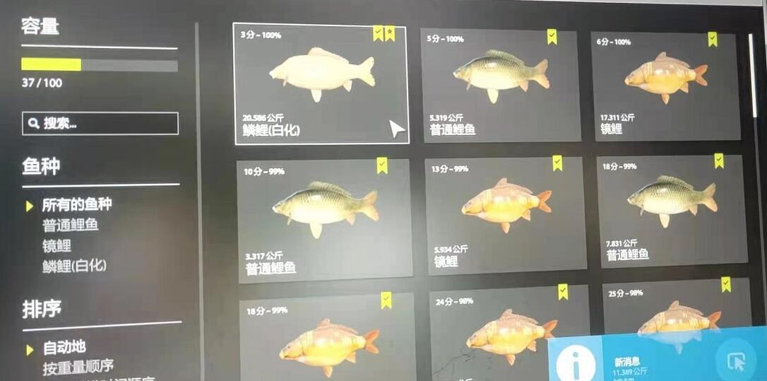 26图 | 琥珀湖 磷鲤(白化)上星